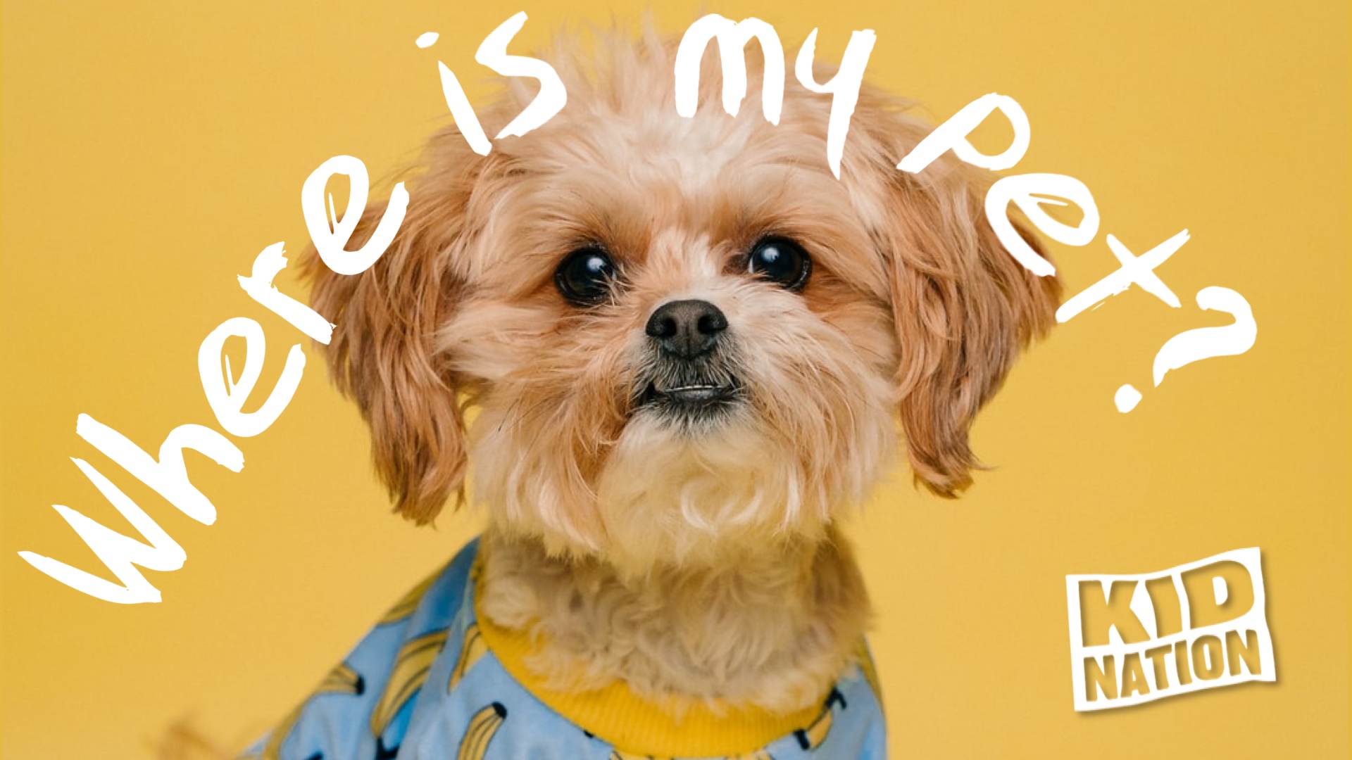 Where's My Pet KidNation