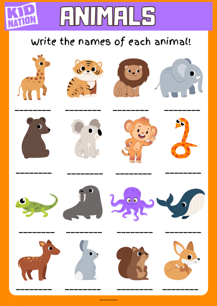 Zoo Lesson Plan - KidNation